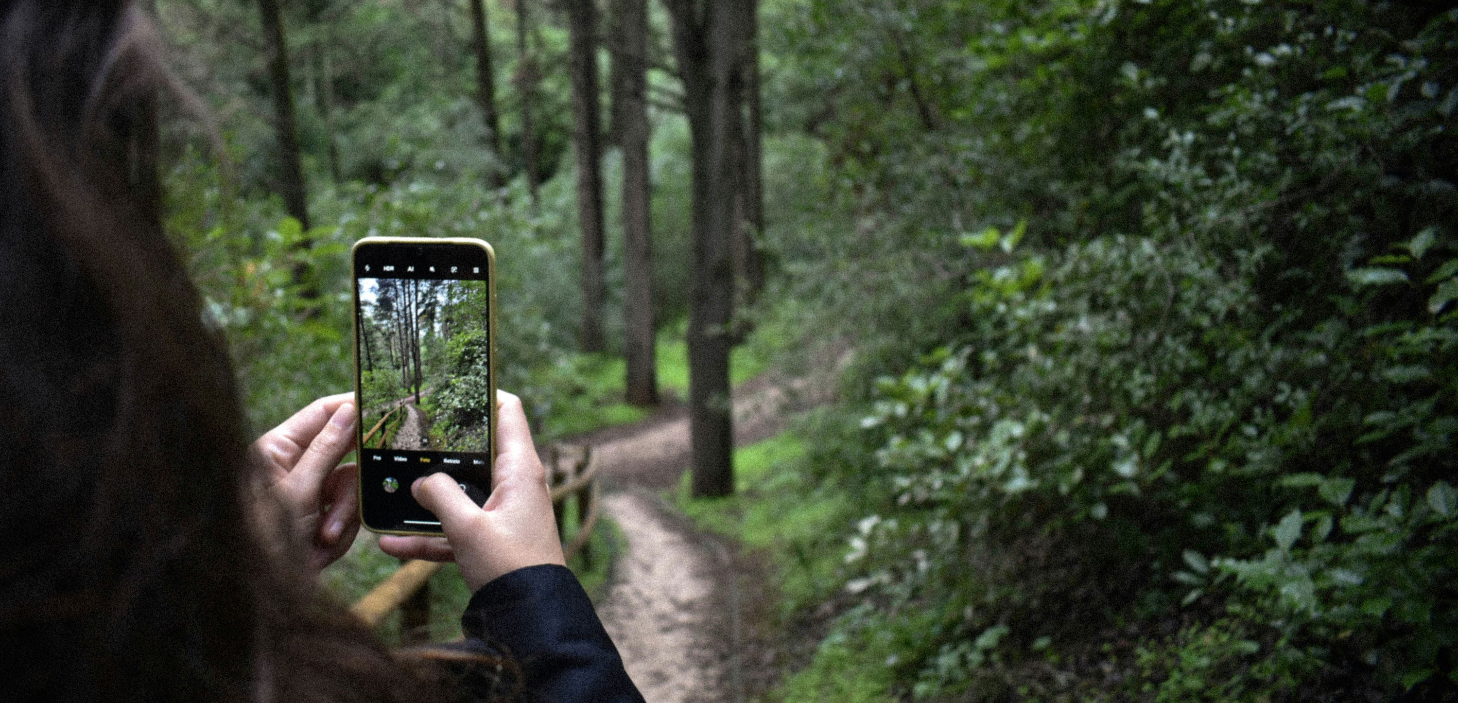 Hiker using smartphone to capture a picture of the trail and forest scenery.